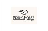 New Homes in Flying Horse