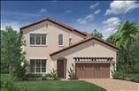 New Homes in Royal Cypress Preserve