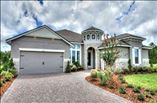 New Homes in Amelia National