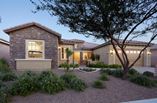 New Homes in Del Webb at Dove Mountain