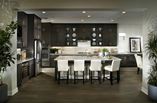 New Homes in Arista at Aliento