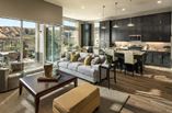 New Homes in Verano at Aliento