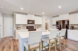 New Homes in Alexander Glen
