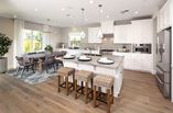 New Homes in Citrus at Emerson Ranch