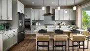 New Homes in Colorado CO - Mayfield by Century Communities