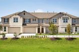 New Homes in Cardinal Crossing