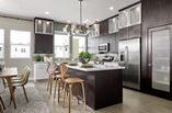 New Homes in Lewis + Mason