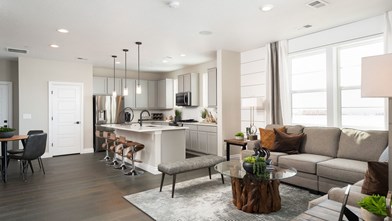 New Homes in Colorado CO - The District at Victory Ridge by Lokal Homes