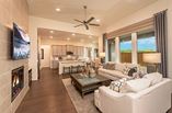 New Homes in Elements at Viridian
