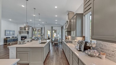 New Homes in Texas TX - Bonterra at Woodforest 60s - Darling - Age 55+ by Taylor Morrison