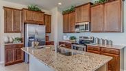 New Homes in Florida FL - Cascades at River Hall by D.R. Horton