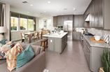 New Homes in Mountain House - Langston