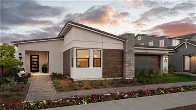 New Homes in Arizona AZ - Allevare at Verrado by Toll Brothers