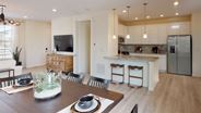 New Homes in Colorado CO - Compass - Paired Homes by Lennar Homes