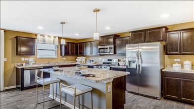 New Homes in Illinois IL - The Oaks at Irish Prairie by D.R. Horton