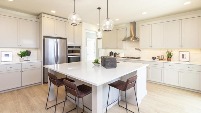 New Homes in The Oaks North - Willow by Toll Brothers