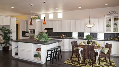 New Homes in Colorado CO - Stonebridge at Meridian Ranch by CreekStone Homes