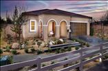 New Homes in Monte Vina