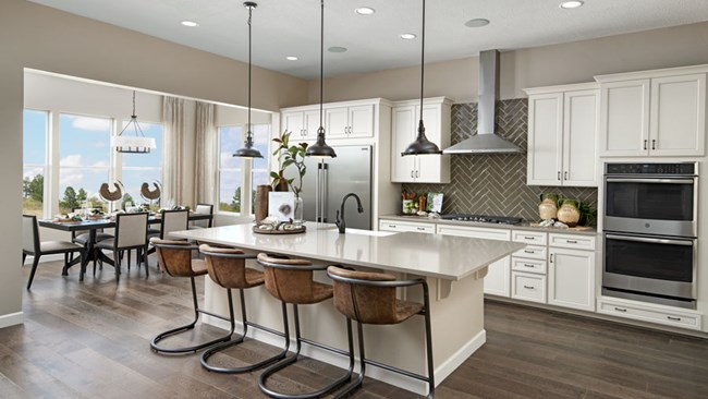 New Homes in Stone Bluff at White Rock Springs Ranch by Richmond American
