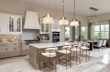 New Homes in Regency at Avenir - Palms Collection