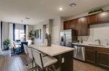 New Homes in Acacia Place
