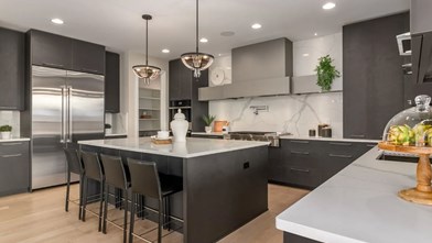 New Homes in Illinois IL - Americana Estates by King's Court Builders