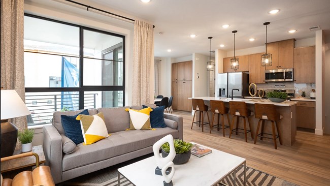 New Homes in The Hub at Virginia Village by Lokal Homes