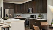 New Homes in Colorado CO - Sterling Ranch Townhomes by Tri Pointe Homes