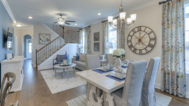 New Homes in The Preserve at Belle Pointe Cottages by Goodall Homes 