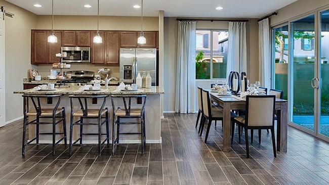 New Homes in Skyview at Terramor by Richmond American