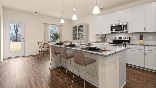 New Homes in Aubrey Park by Smith Douglas Homes