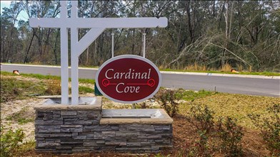 New Homes in Florida FL - Cardinal Cove by Adams Homes