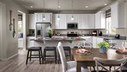 New Homes in Colorado CO - Reunion Ridge - The Pioneer Collection by Lennar Homes