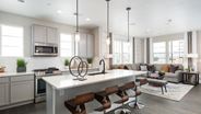 New Homes in Colorado CO - Stonegate by Lokal Homes