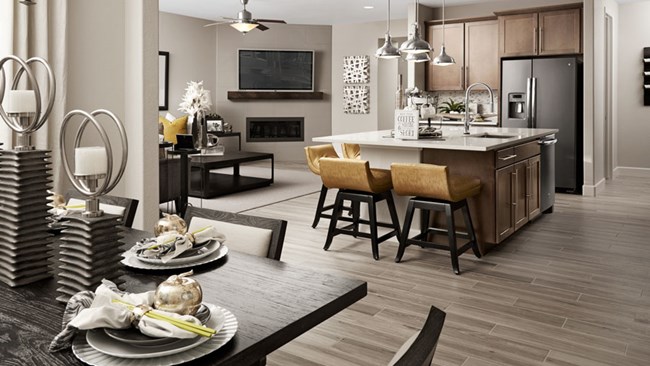 New Homes in Springs Village at Wander by Richmond American