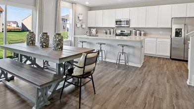 New Homes in Illinois IL - Tamms Farm by Lennar Homes