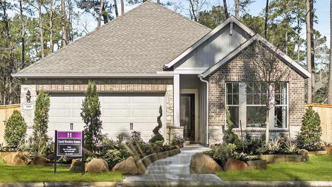 New Homes in The Woodlands Hills 45' by David Weekley Homes