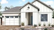 New Homes in Arizona AZ - Grove at Madera by Tri Pointe Homes