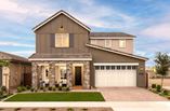 New Homes in Grove at Madera