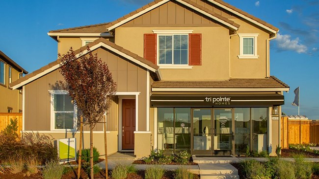 New Homes in Journey at Stanford Crossing by Tri Pointe Homes