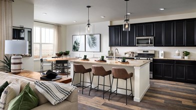 New Homes in Colorado CO - Dove Village - Paired Homes by Lennar Homes