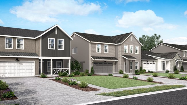 New Homes in Juniper Hills - Orchard Series by Lennar Homes