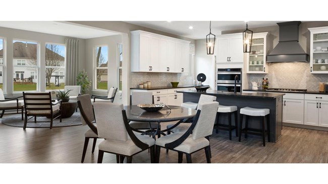 New Homes in Stony Bluffs by Drees Homes