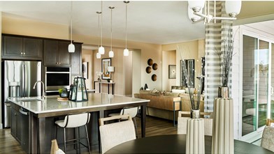 New Homes in Colorado CO - Hillside at Crystal Valley Destination Collection by Taylor Morrison