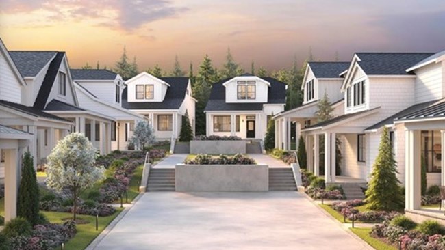 New Homes in Canopy Cottages by Toll Brothers