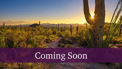 New Homes in Arizona AZ - El Cidro by Century Communities