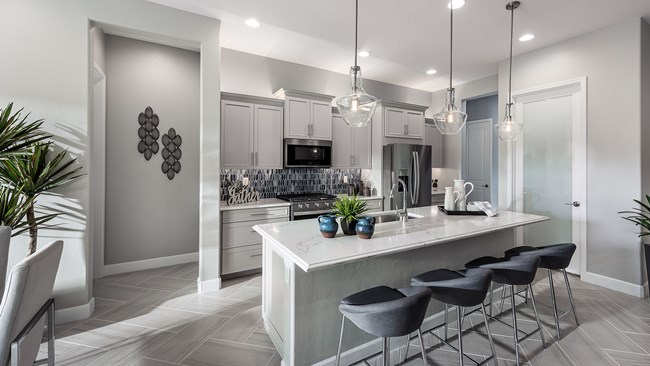 New Homes in Westbridge At Silverbell by Mattamy Homes