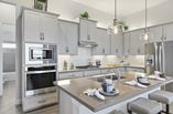 New Homes in Aden Woods of Castleberry Farms