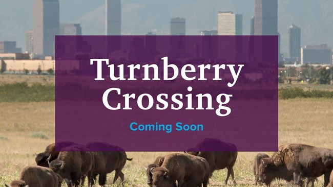 New Homes in Turnberry Crossing by Century Communities