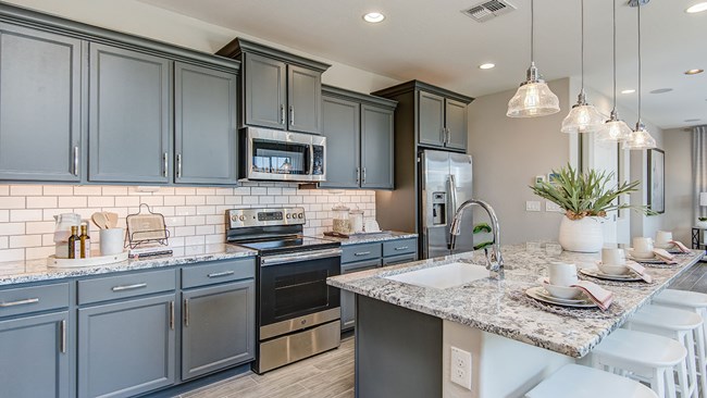 New Homes in Ironwood Villages at North Creek by Woodside Homes